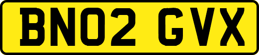 BN02GVX