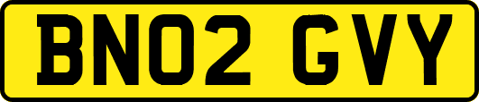 BN02GVY