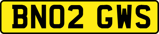 BN02GWS