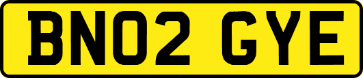 BN02GYE