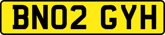 BN02GYH