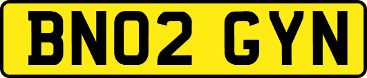 BN02GYN