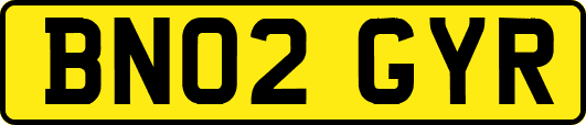 BN02GYR