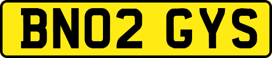 BN02GYS