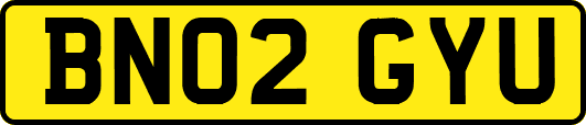 BN02GYU