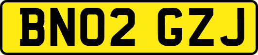 BN02GZJ