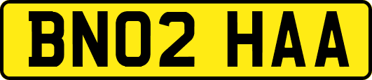 BN02HAA