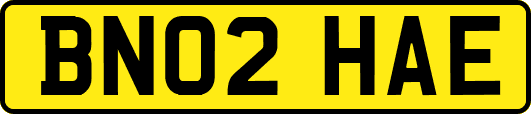 BN02HAE