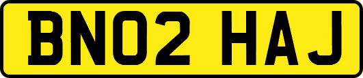 BN02HAJ