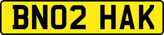 BN02HAK
