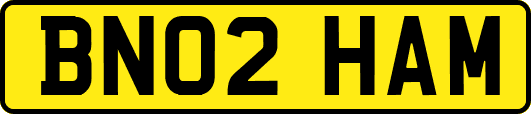 BN02HAM