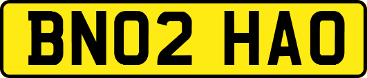 BN02HAO