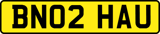 BN02HAU