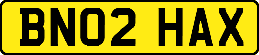 BN02HAX