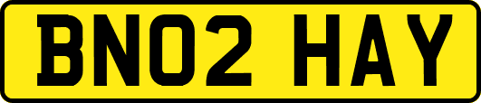 BN02HAY