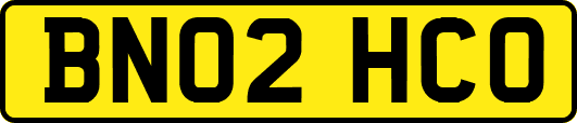 BN02HCO