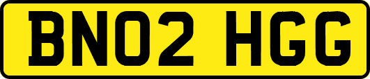 BN02HGG