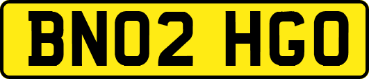 BN02HGO