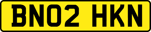 BN02HKN