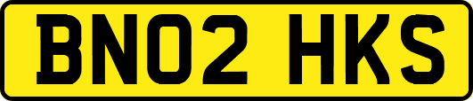BN02HKS