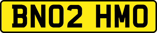 BN02HMO