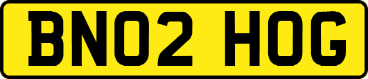 BN02HOG