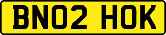 BN02HOK