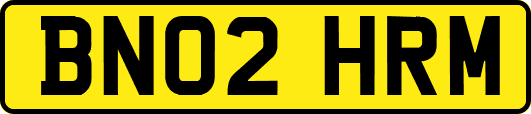 BN02HRM