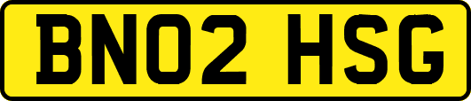 BN02HSG