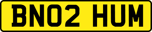 BN02HUM