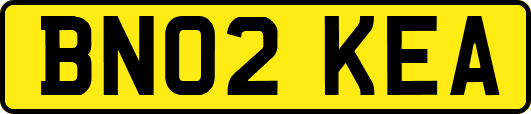 BN02KEA