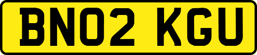 BN02KGU