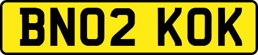 BN02KOK