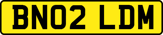 BN02LDM
