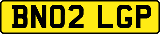 BN02LGP