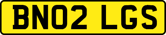 BN02LGS
