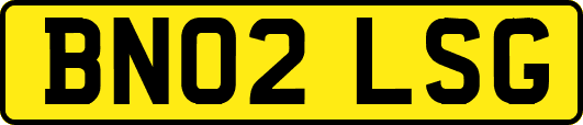 BN02LSG