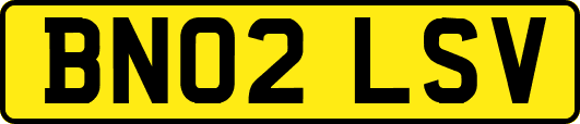 BN02LSV