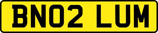 BN02LUM