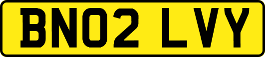 BN02LVY