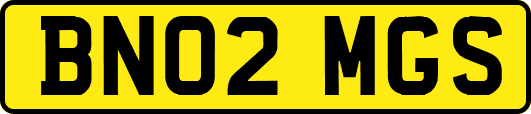 BN02MGS