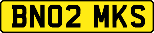BN02MKS