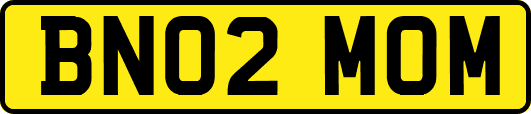 BN02MOM