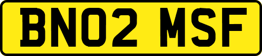 BN02MSF
