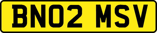 BN02MSV