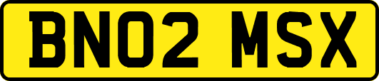 BN02MSX