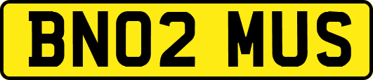BN02MUS