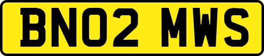 BN02MWS