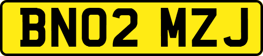 BN02MZJ