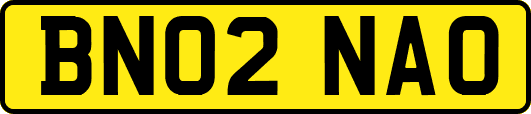 BN02NAO